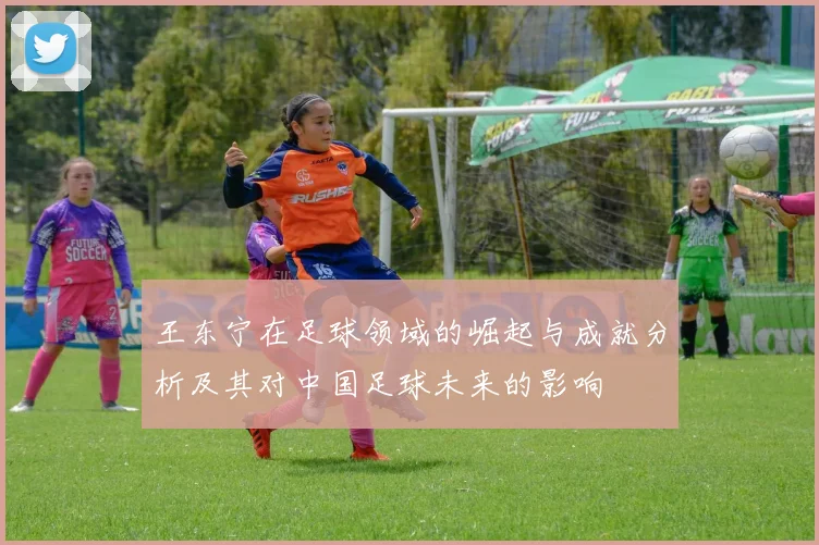 王东宁在足球领域的崛起与成就分析及其对中国足球未来的影响