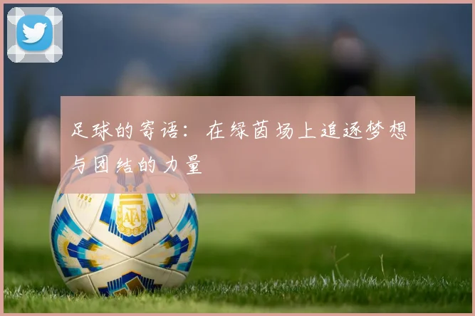 足球的寄语：在绿茵场上追逐梦想与团结的力量
