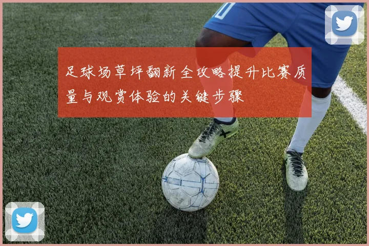 足球场草坪翻新全攻略提升比赛质量与观赏体验的关键步骤